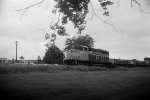 IANR 4002